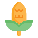 Кукуруза icon
