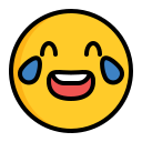rir icon