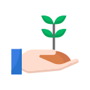 mão 