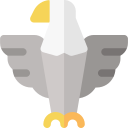 Águila icon