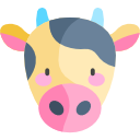 vaca