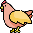 pollo icon