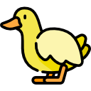 pato icon