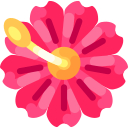 flores asiáticas icon