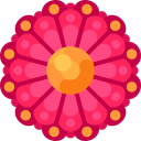 flores asiáticas 