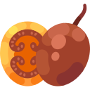 tamarillo icon