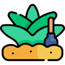 Agave icon