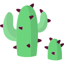 cactus icon