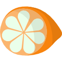 limón icon