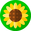 girasol icon