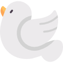 pomba 