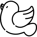 pomba 