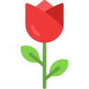 rosa icon