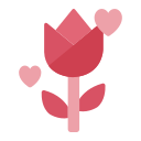 rosa icon