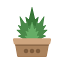 naturaleza icon