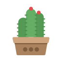 naturaleza icon