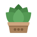 naturaleza icon