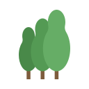 naturaleza icon