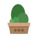 naturaleza icon