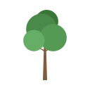 naturaleza icon