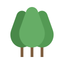 naturaleza icon