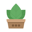 naturaleza icon