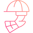 casco icon