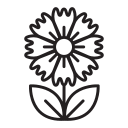 flor 