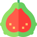 guayaba icon