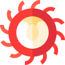 rambután icon