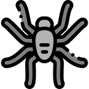 tarántula icon