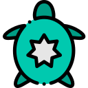 tortuga icon