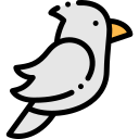 pájaro icon