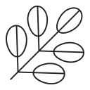 Растение icon