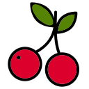 fruta icon