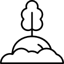 rabanete 