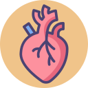 corazón icon