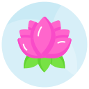 flor de loto icon