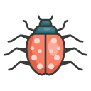 insecte icon
