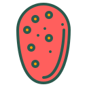 fruta icon