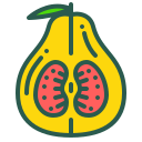 fruta icon