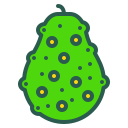 fruta icon