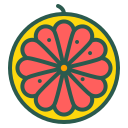 fruta icon