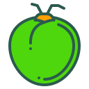 fruta icon