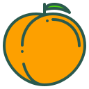 fruta icon