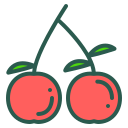 fruta icon