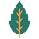 Nature icon