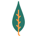 Nature icon