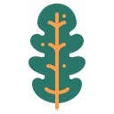Nature icon