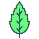 naturaleza icon